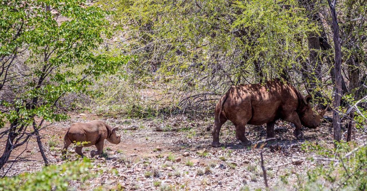Grootberg Lodge Damaraland Exteriér fotografie