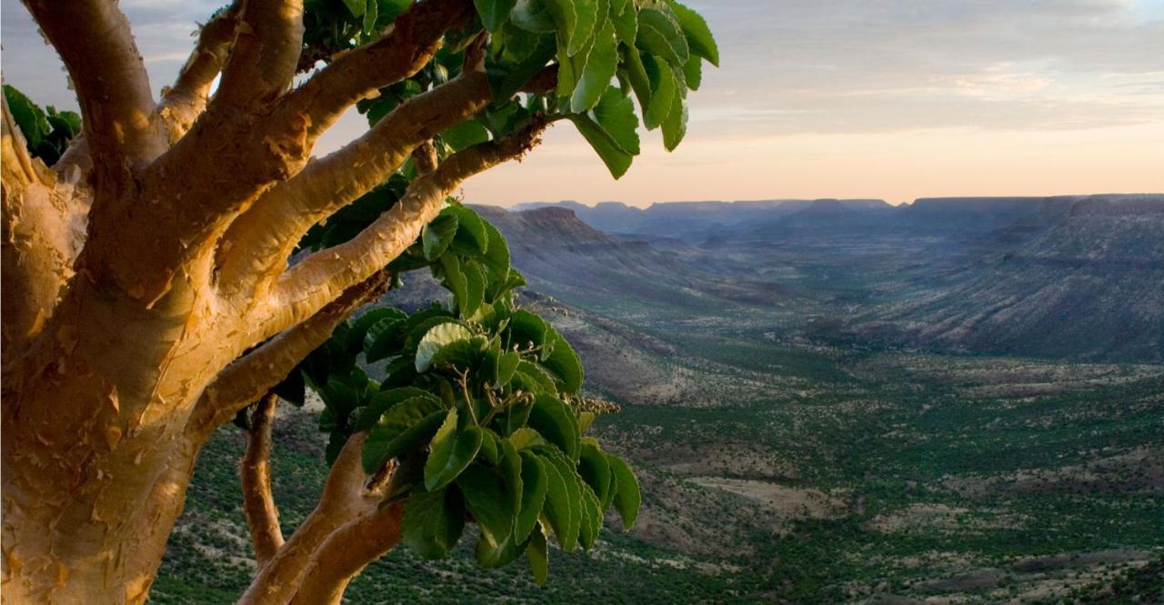 Grootberg Lodge Damaraland Exteriér fotografie