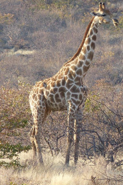 Grootberg Lodge Damaraland Exteriér fotografie