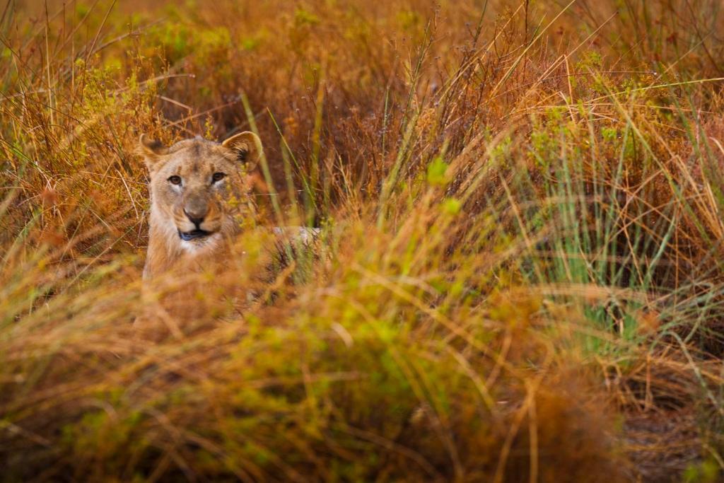 Grootberg Lodge Damaraland Exteriér fotografie