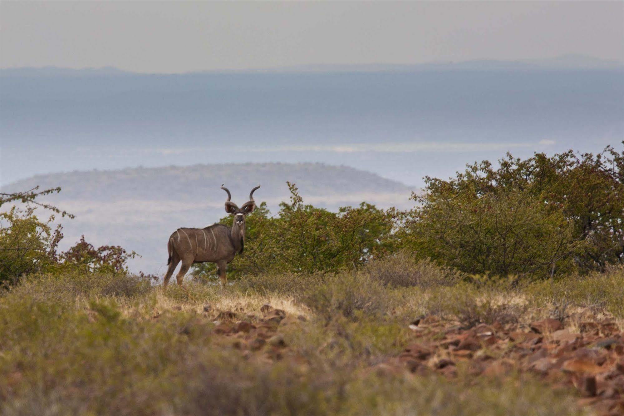 Grootberg Lodge Damaraland Exteriér fotografie